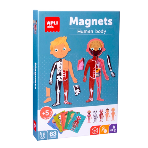 Magnet le corps humain | Apli Kids Magnet le corps humain | Apli Kids